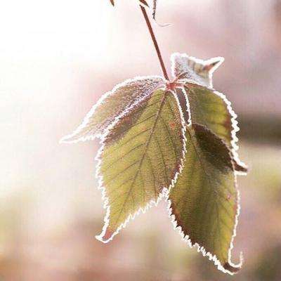 天博官方app下载旧版本